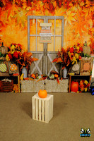 AIA Fall Festival 2022 by Firefly Event Photography (1)