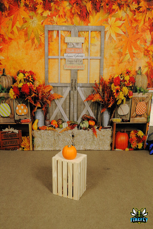 AIA Fall Festival 2022 by Firefly Event Photography (1)