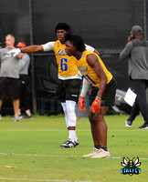 Largo Packers Football 2023 7v7 UCF by Firefly Event Photography (9)