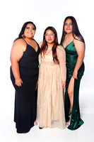 Chamberlain High Prom 2023 White Backbackground by Firefly Event Photography (16)
