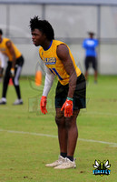 Largo Packers Football 2023 7v7 UCF by Firefly Event Photography (4)
