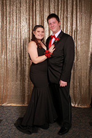 Northeast High School Prom 2017 Gold Backdrop by Firefly Event Photography (3)