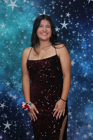 St. Pete High Prom 2024 Star Backdrop by Firefly Event Photography (317)