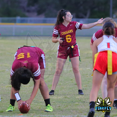 Countryside Cougars vs Clearwater Tornadoes 2022 Flag Football by Firefly Event Photography (19)