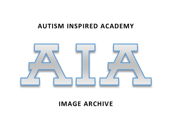 Zenfolio Archive Title Blocks Autism Inspired Academy