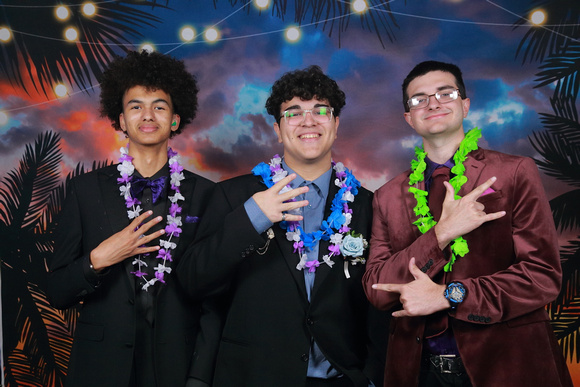 Sickles High Prom 2024 Sunset Backdrop by Firefly Event Photography (2)